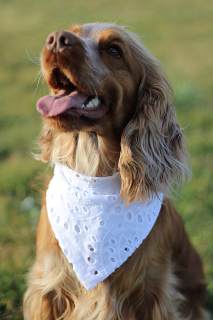 Bandana broderie anglaise
