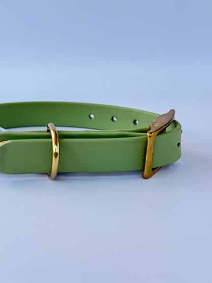 Collier en biothane à charms