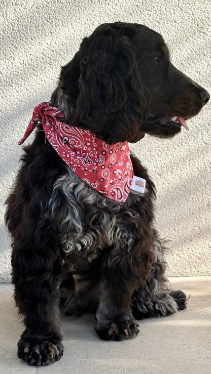 Bandana Paisley