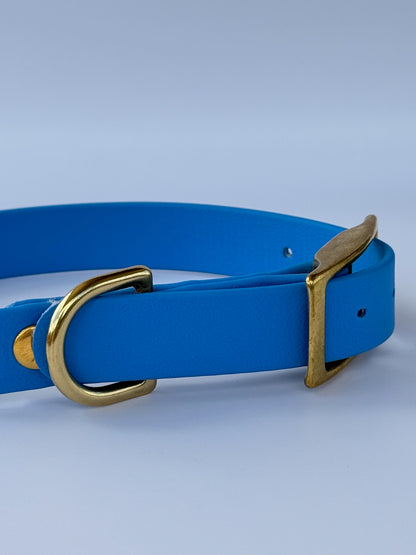 Collier en biothane à charms