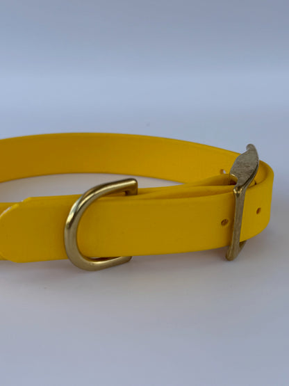 Collier en biothane à charms