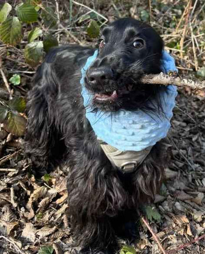 Snood polaire