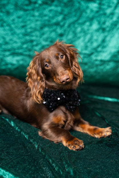 Noeud papillon en sequin