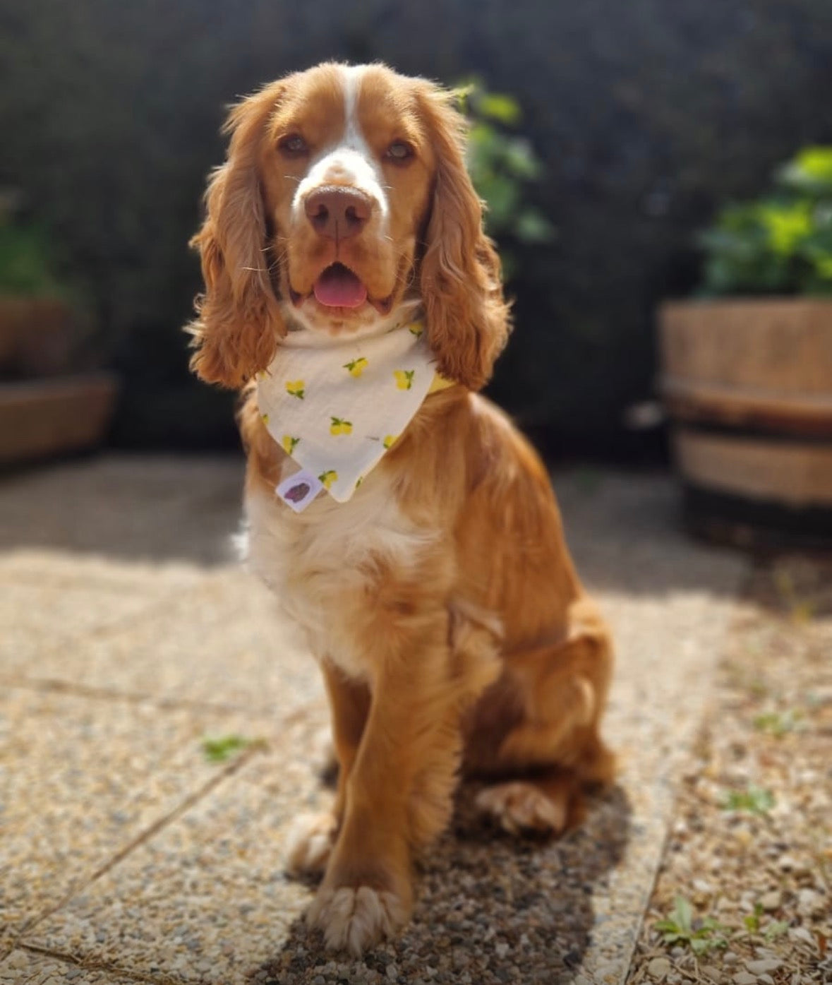 Bandana en double gaze de coton
