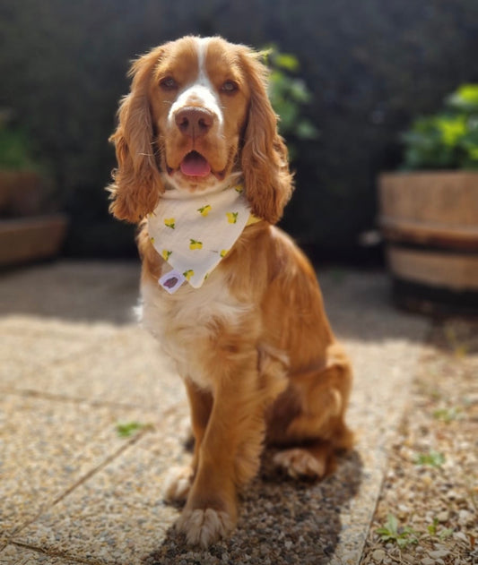 Bandana en double gaze de coton