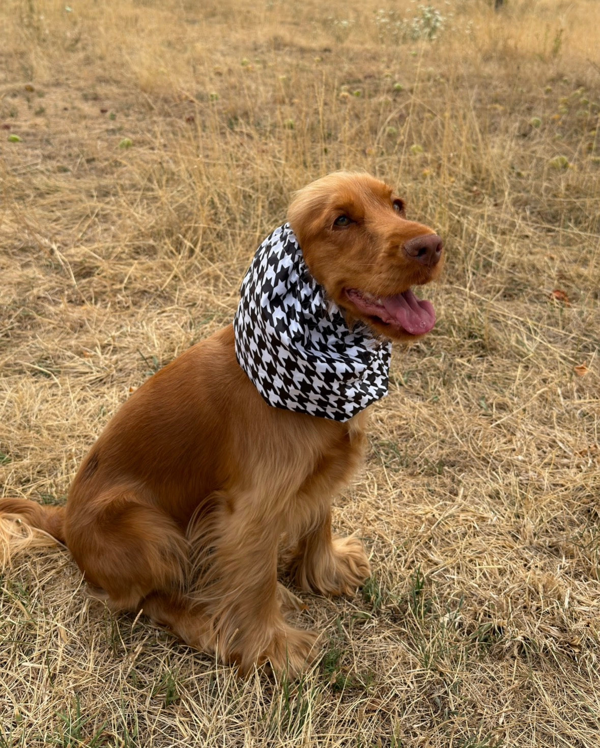 Snood imperméable - Tartan & Pied de Poule