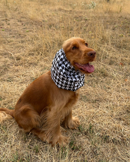 Snood imperméable - Tartan & Pied de Poule