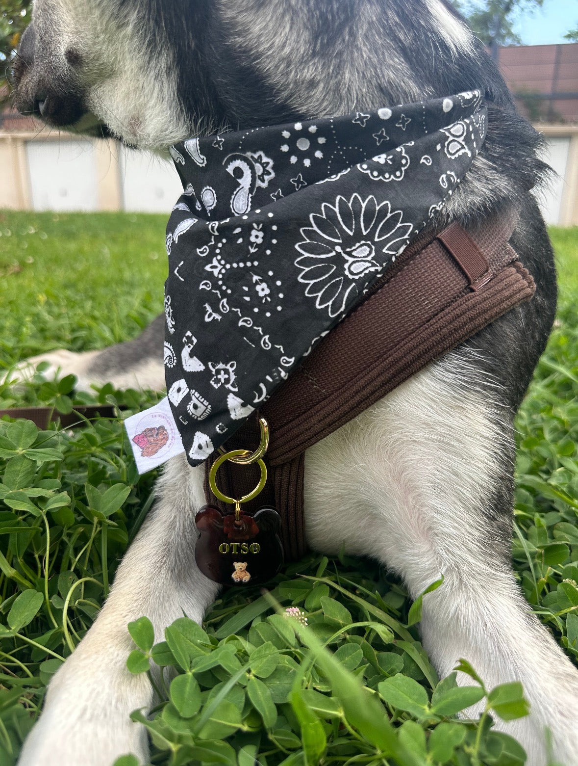 Bandana Paisley