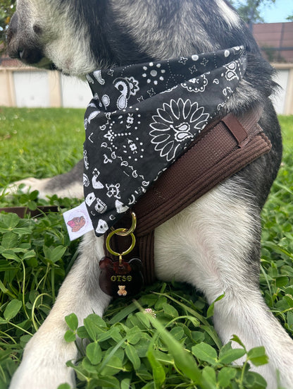 Bandana Paisley