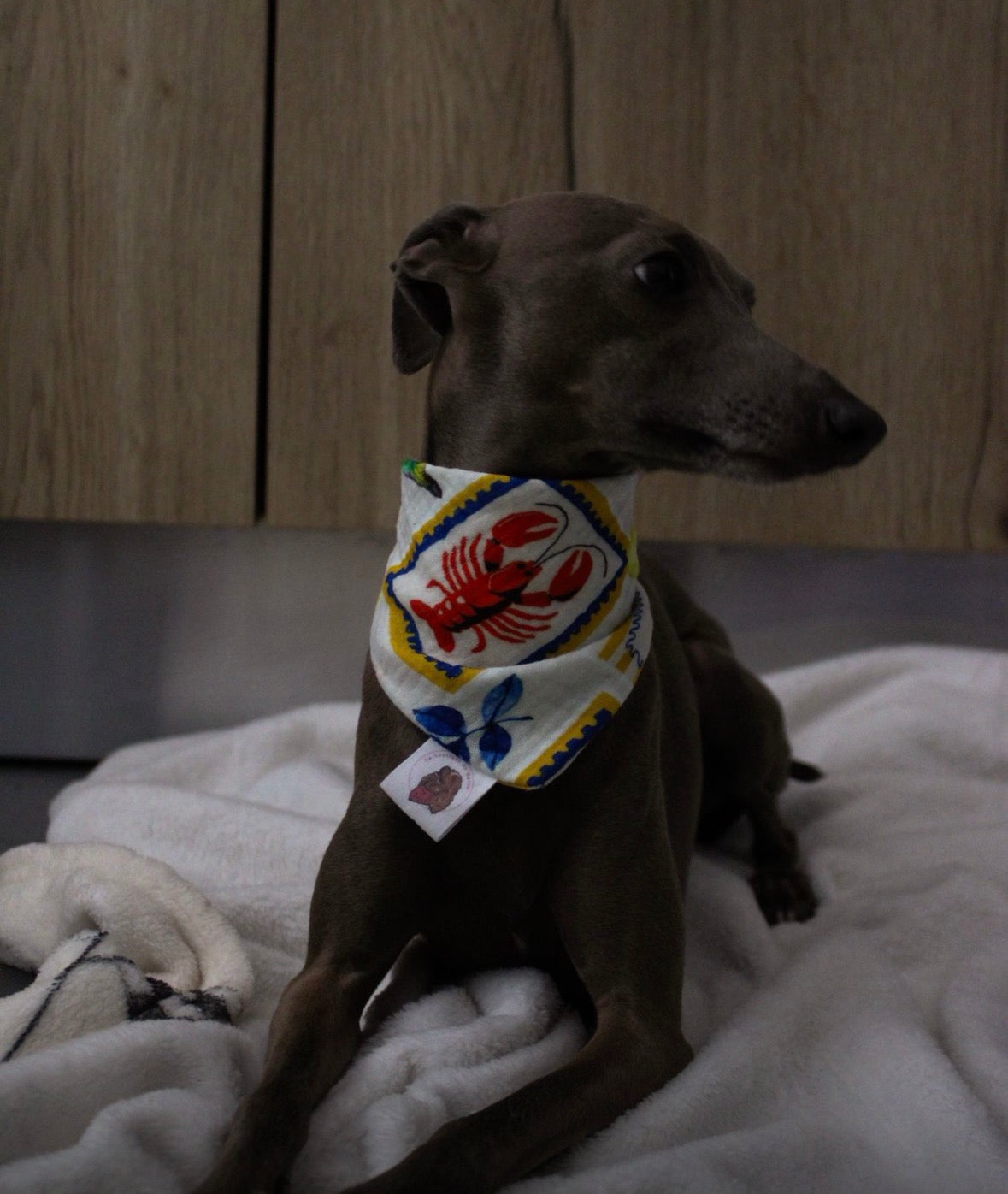 Bandana en double gaze de coton - été
