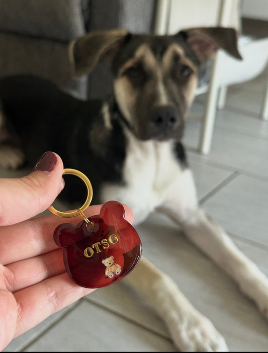 Médaille tête Ours