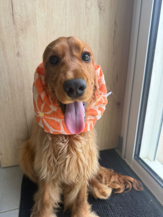 Snood en double gaze de coton - été