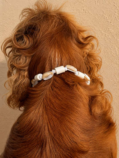Collier coquillage
