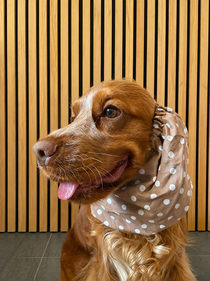 Snood - pois