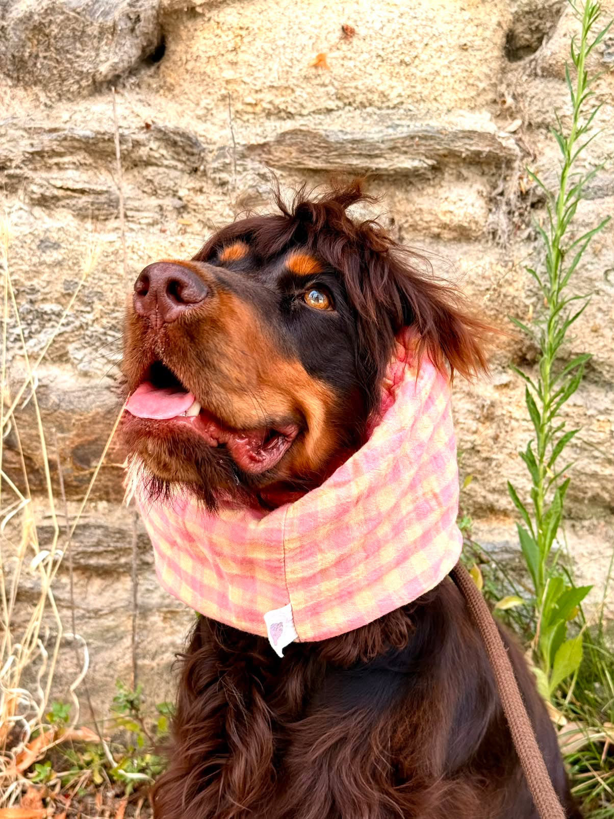 Snood en double gaze de coton - vichy