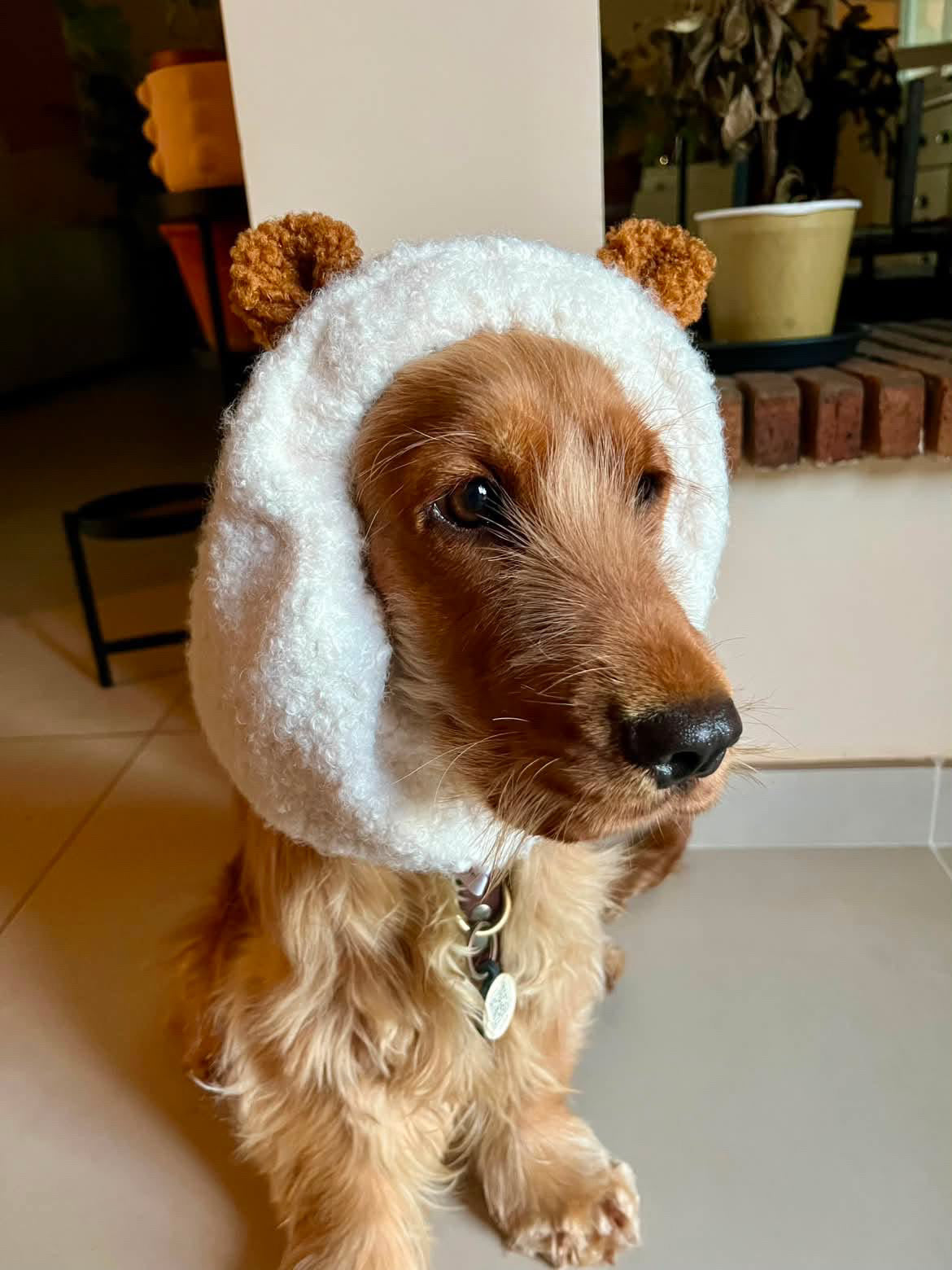 Snood - oreilles d'ours