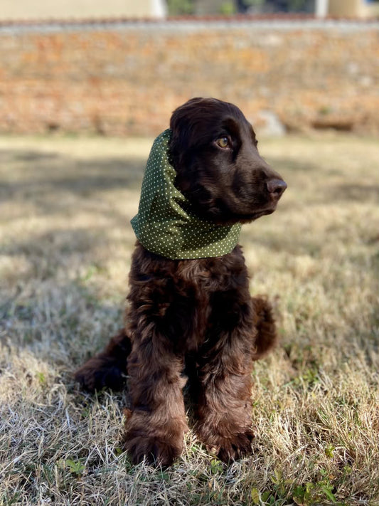 Snood en coton - automne