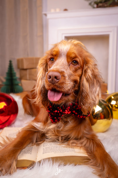 Noeud papillon - Noël