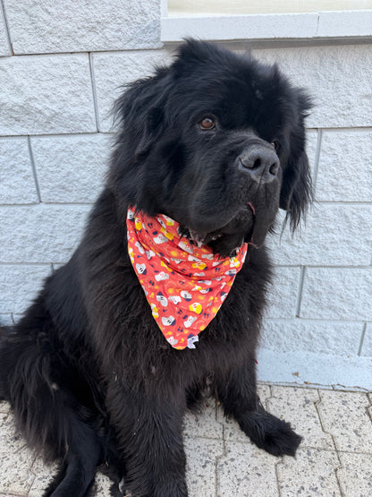 Bandana - Halloween