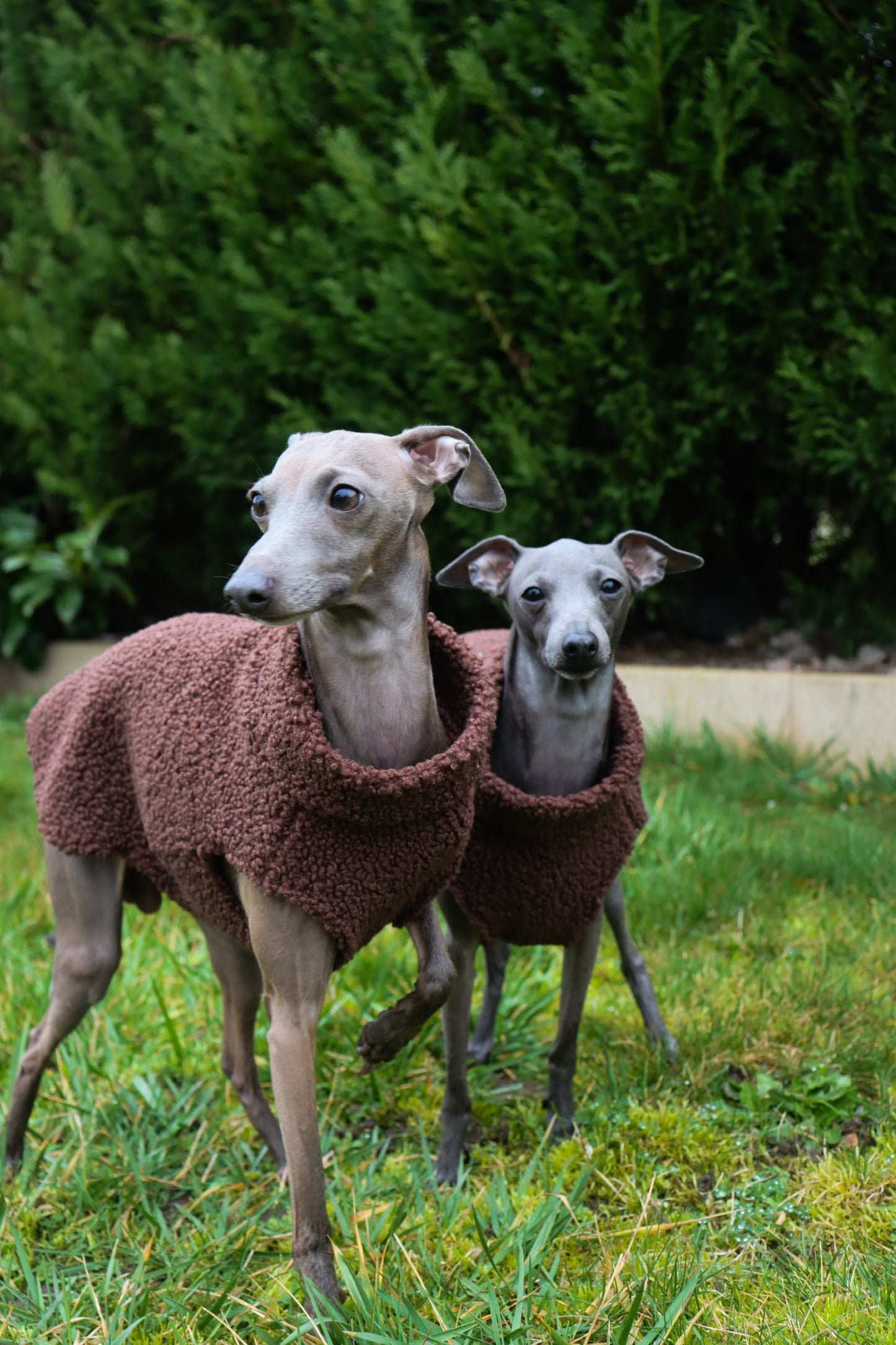 Pull en bouclette