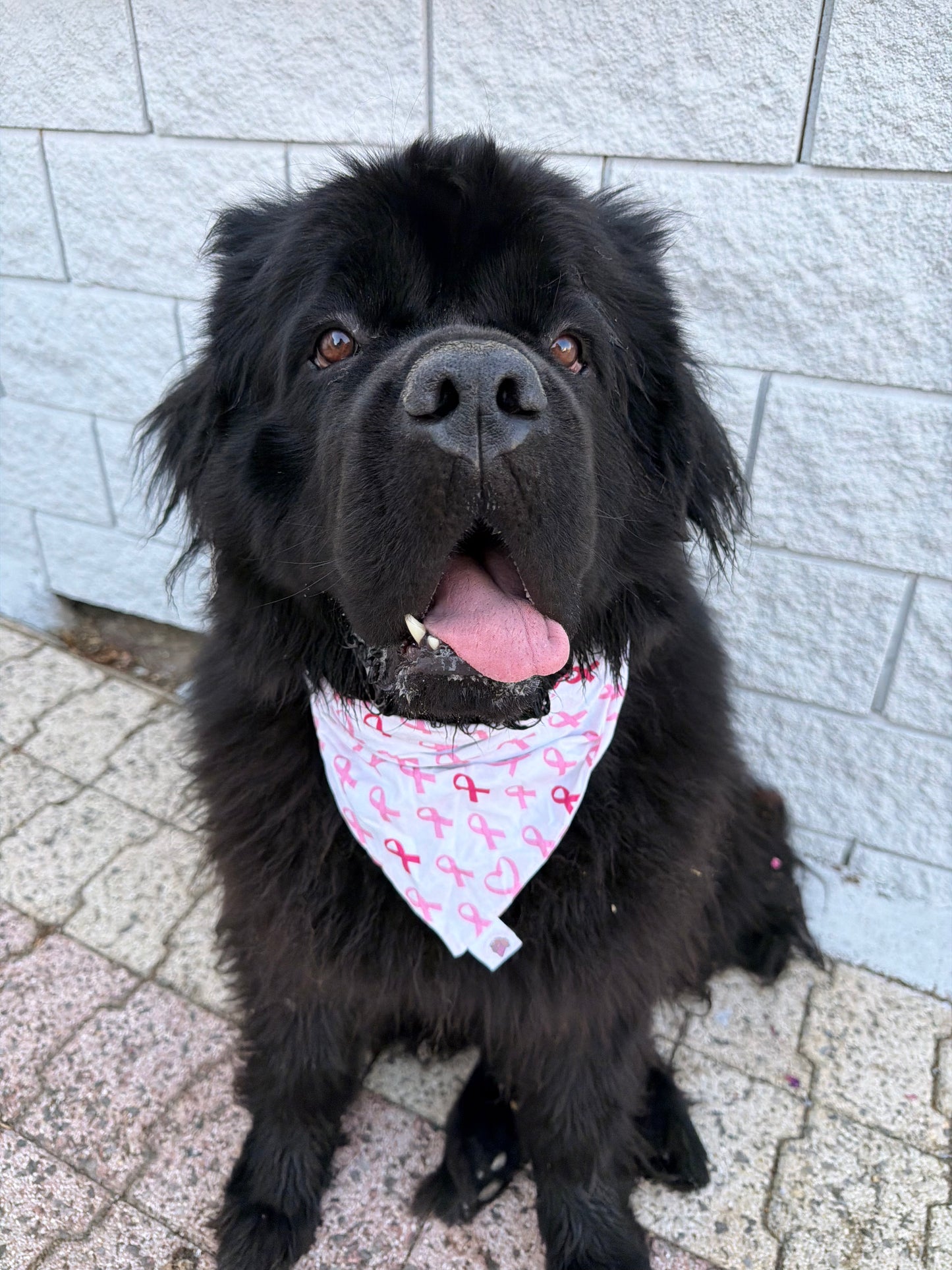 Bandana en coton - Octobre Rose