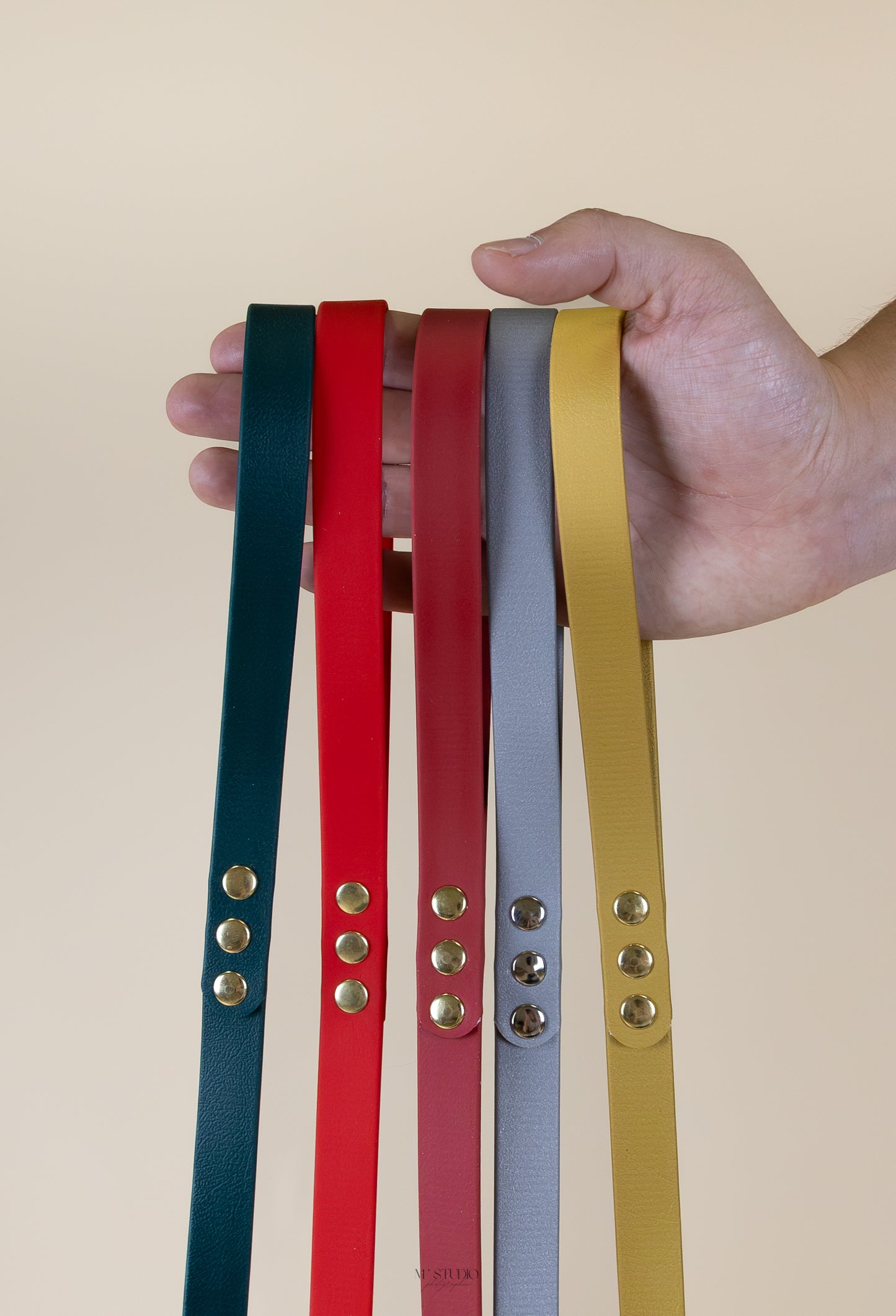 Laisse en biothane - Noël