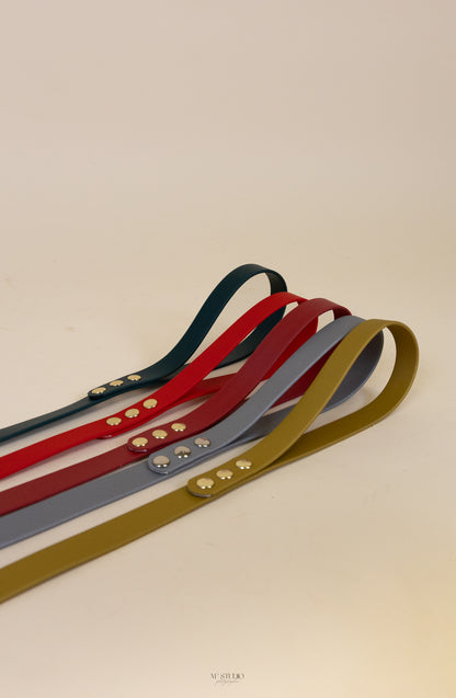 Laisse en biothane - Noël