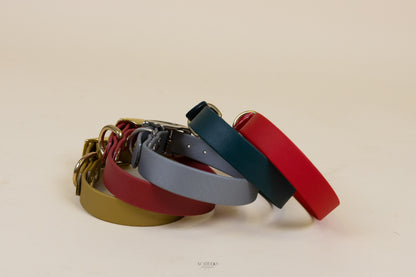 Collier en biothane - Noël