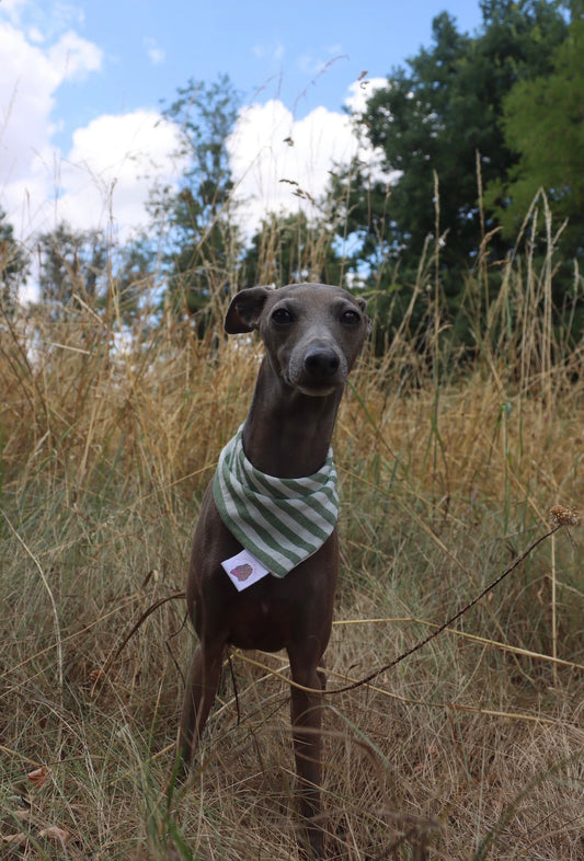 Bandana en coton - rayures