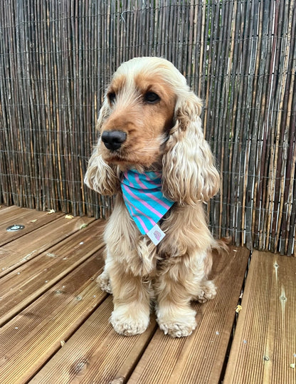 Bandana en coton - rayures