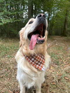 Bandana - collection automne