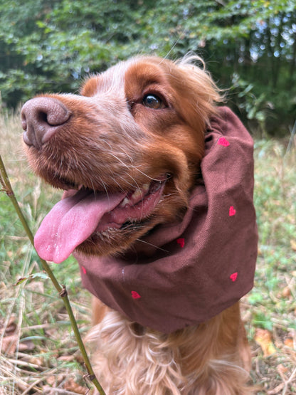 Snood en coton - automne