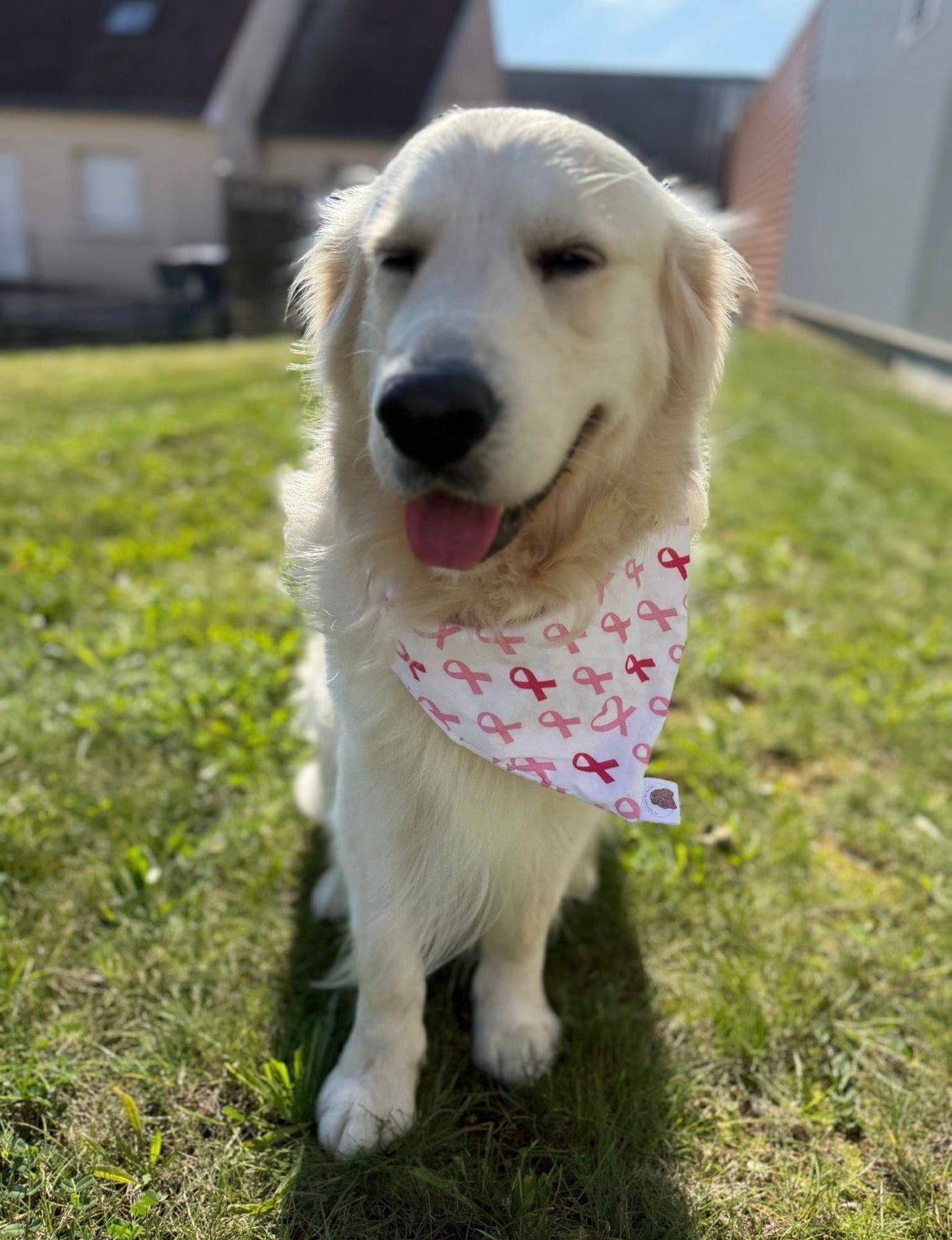 Bandana en coton - Octobre Rose