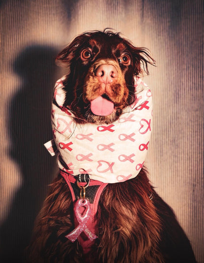 Snood en coton - Octobre rose