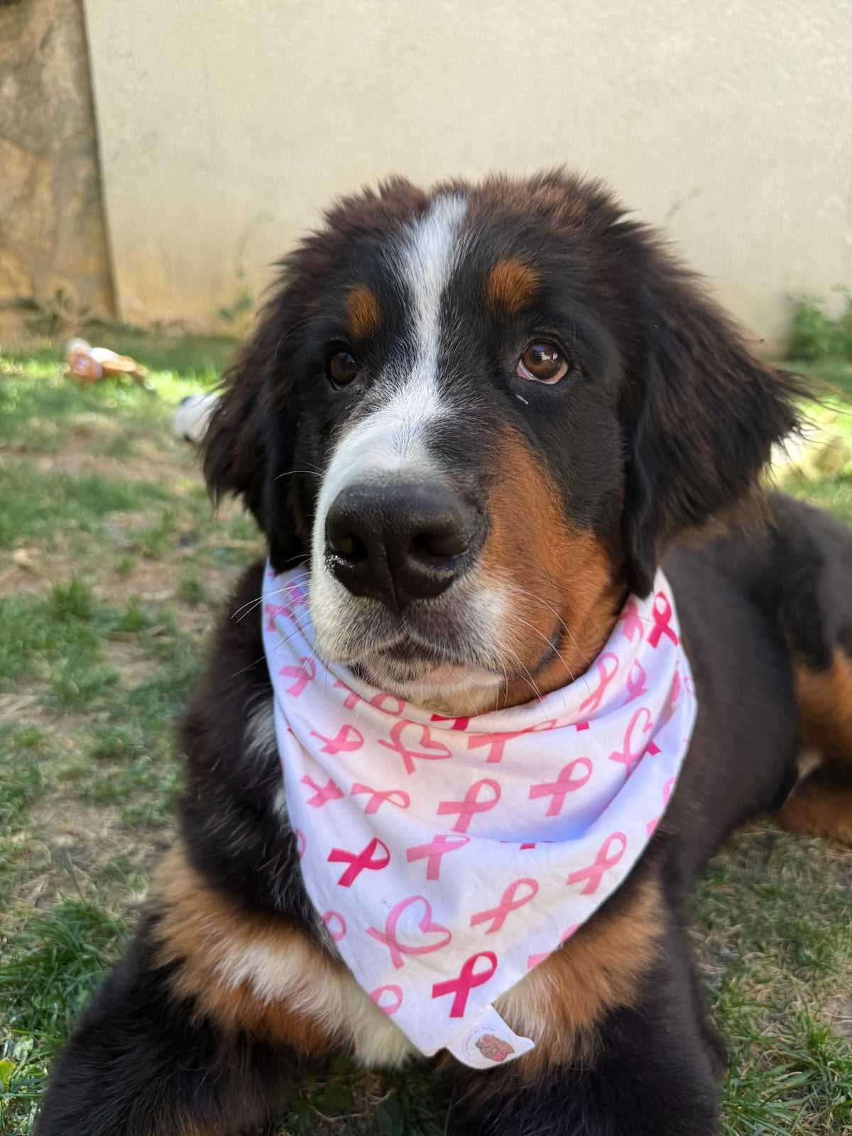 Bandana en coton - Octobre Rose