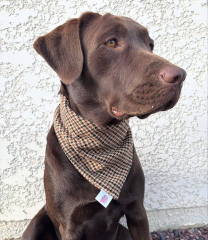 Bandana Tartan & pied de poule