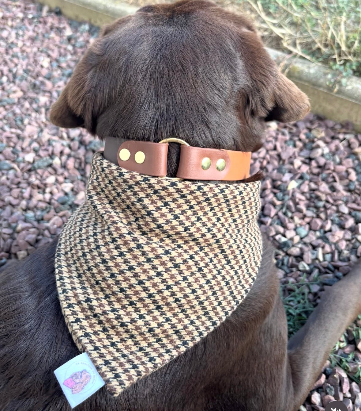Bandana Tartan & pied de poule