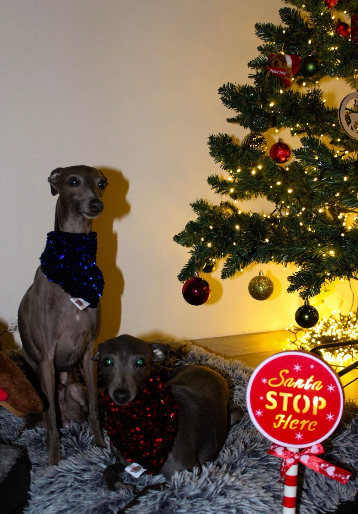 Bandana de Noël à sequins