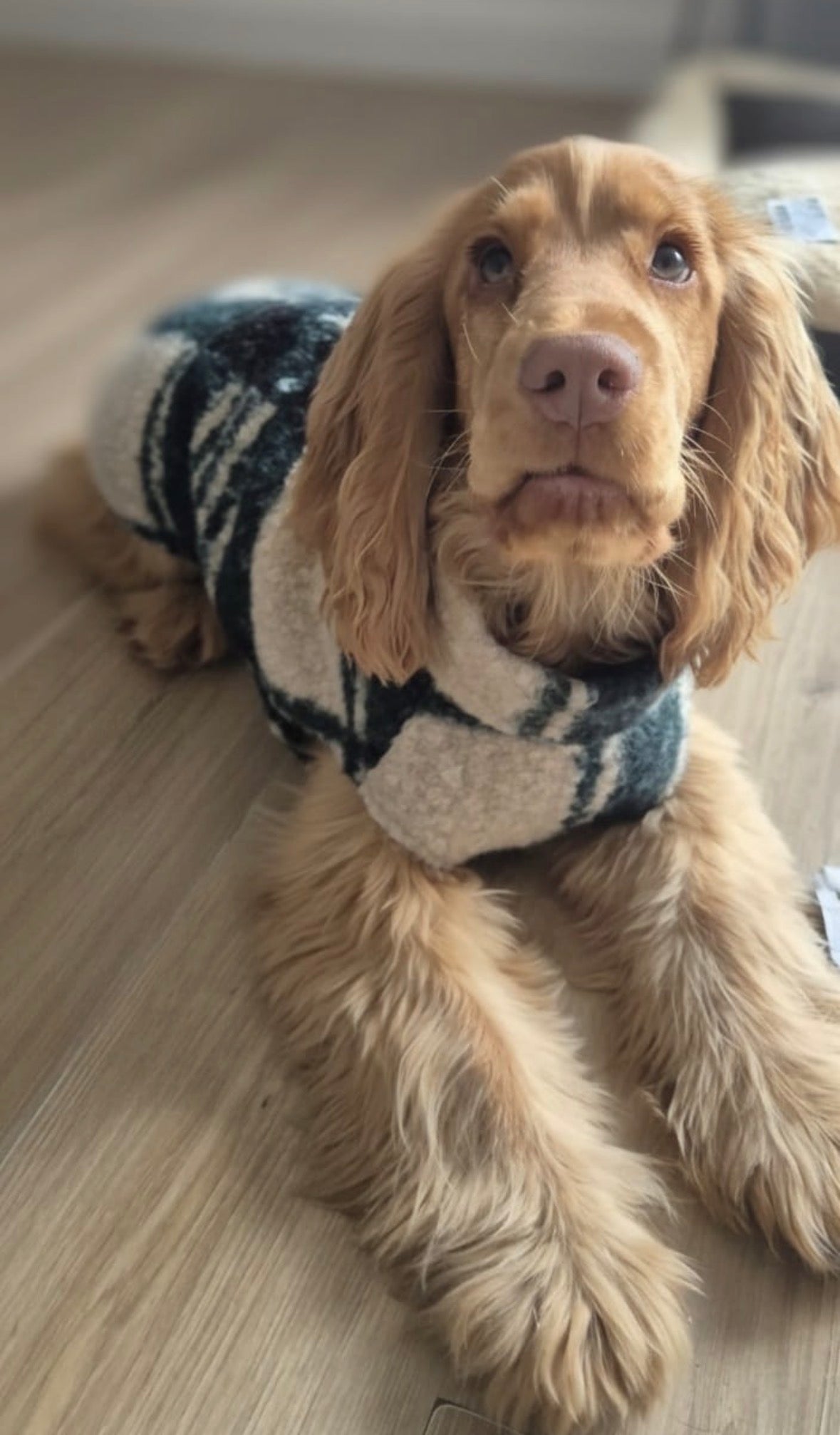 Pull en bouclette à motifs