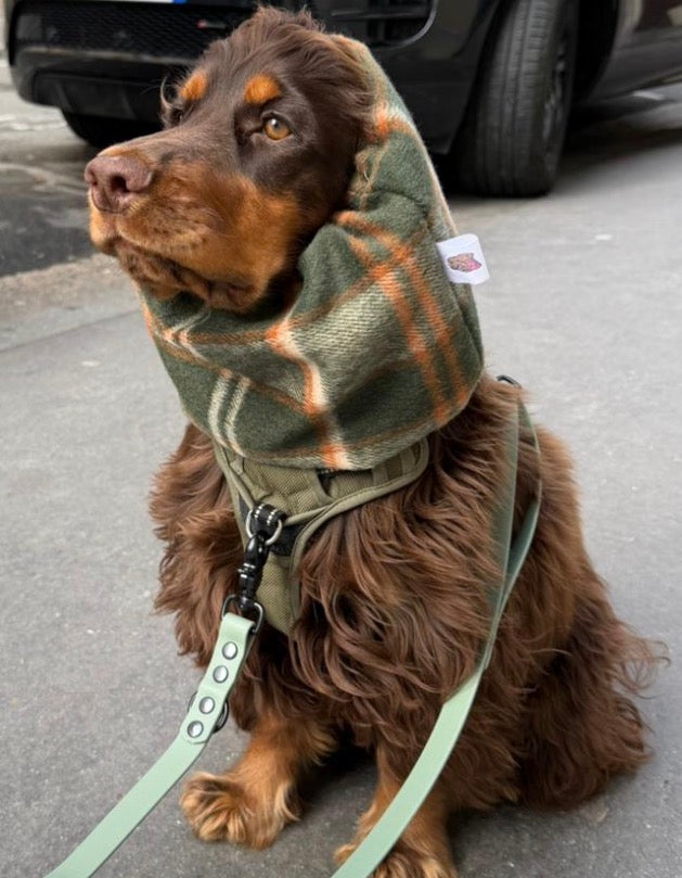 Snood Tartan & Pied de poule