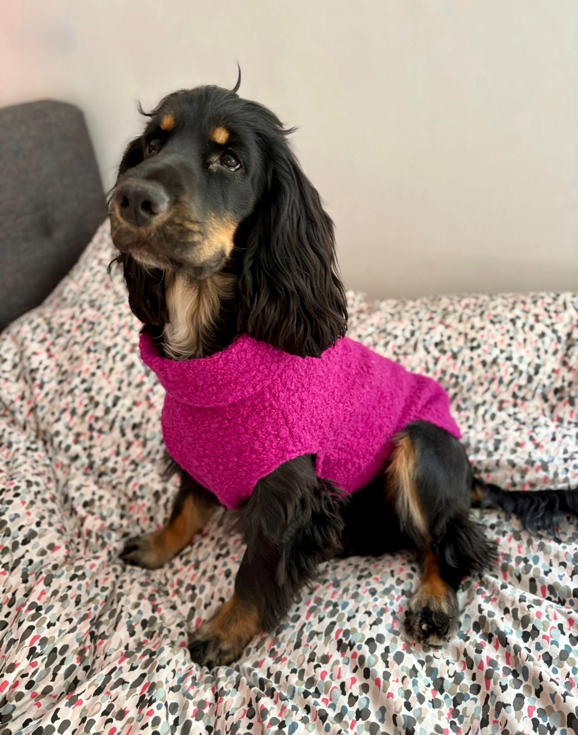 Pull en bouclette uni