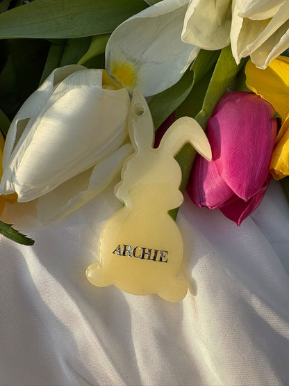 Médaille Lapin