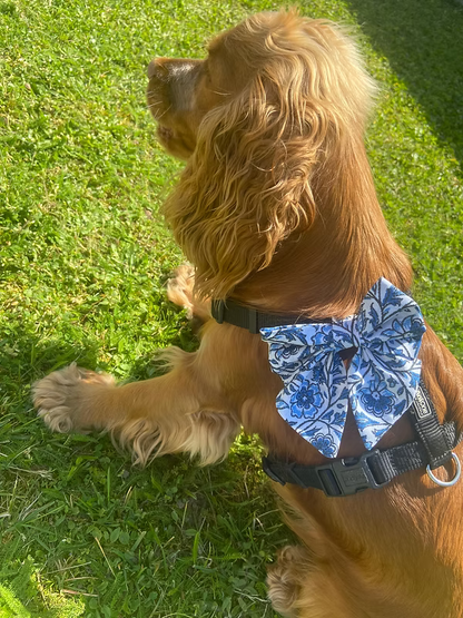 Noeud papillon imperméable