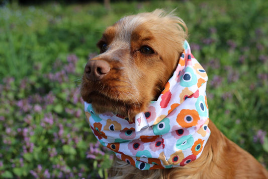 Snood en coton - fleurs