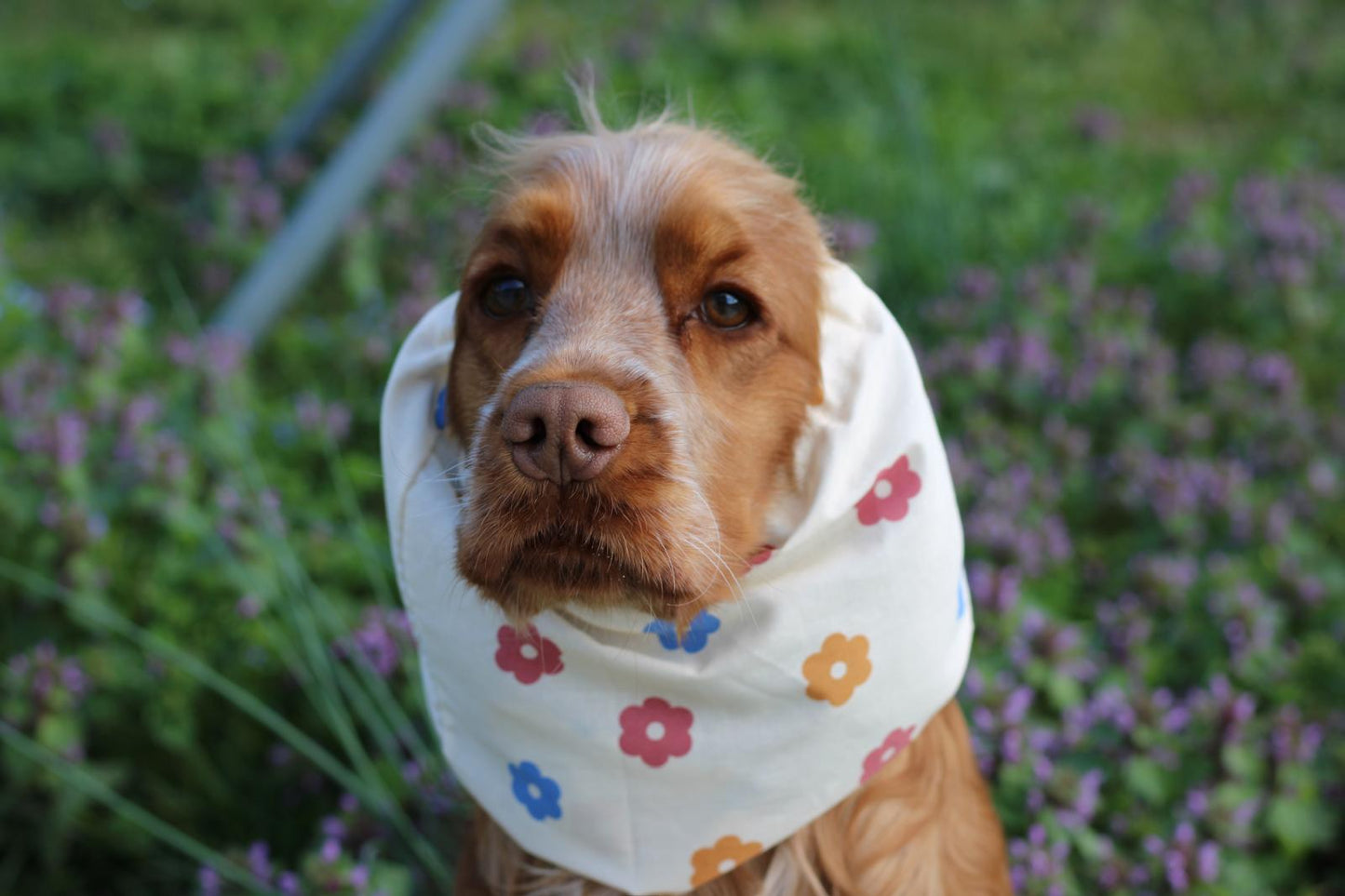 Snood en coton - fleurs