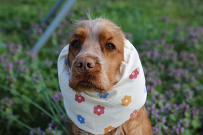Snood en coton - fleurs