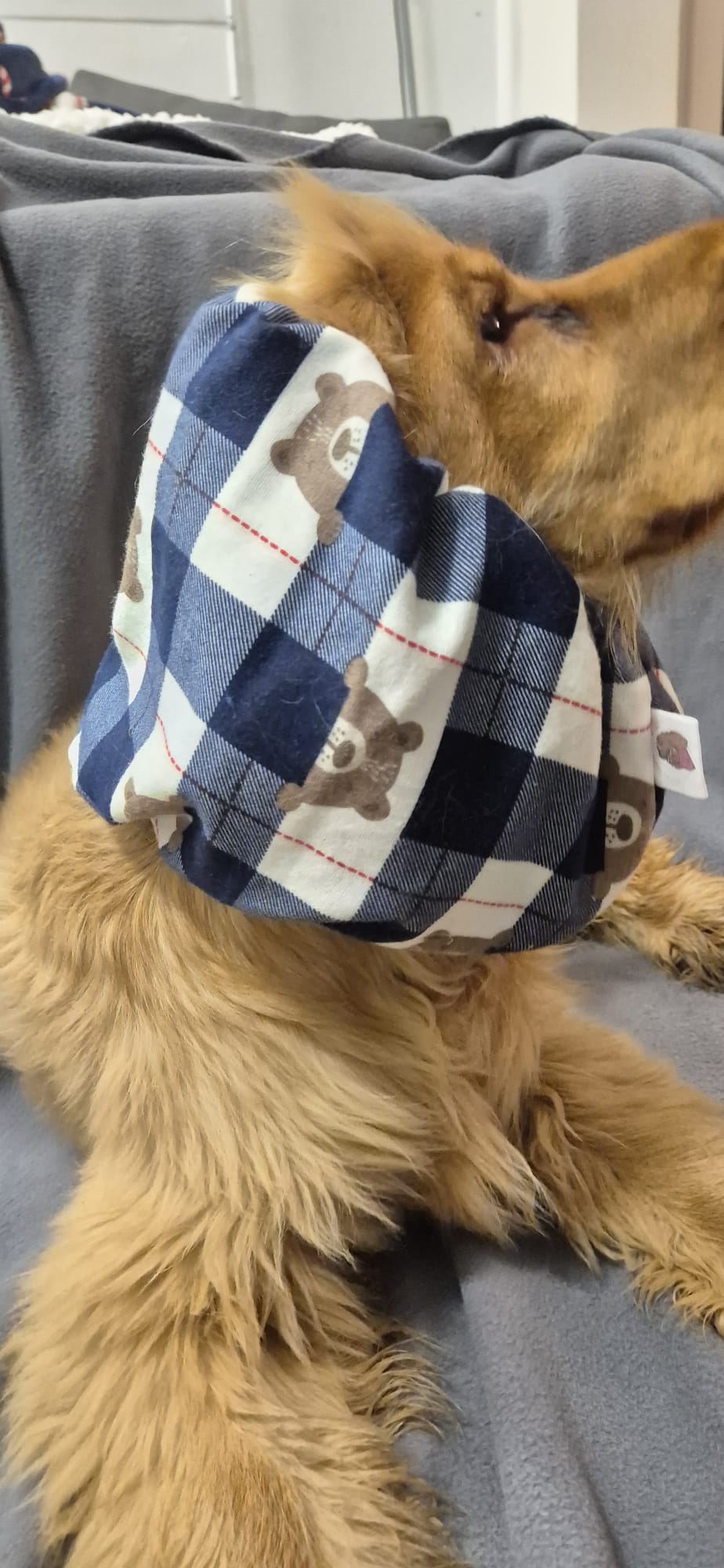 Snood en coton - Ours