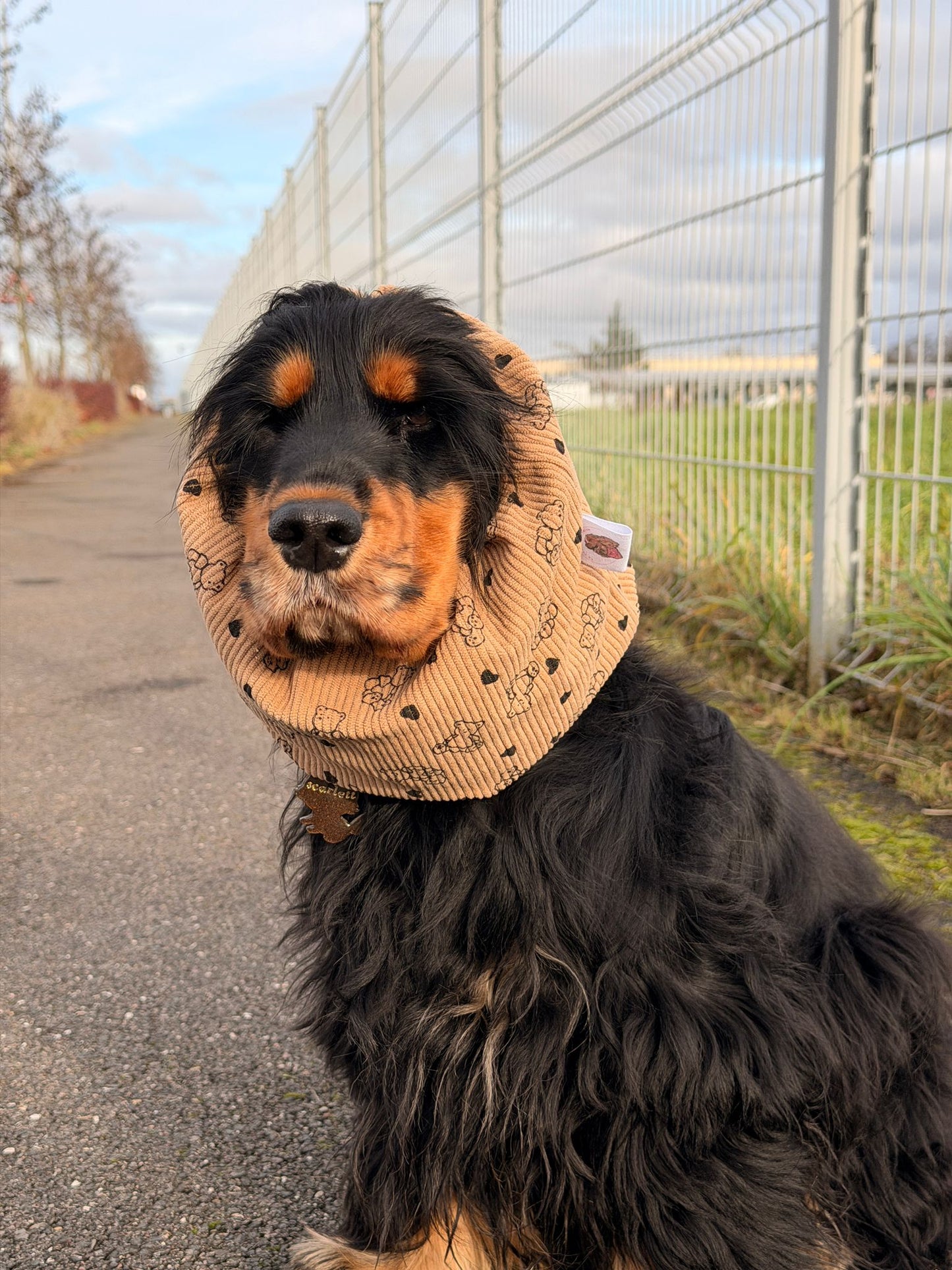 Snood en coton - Ours