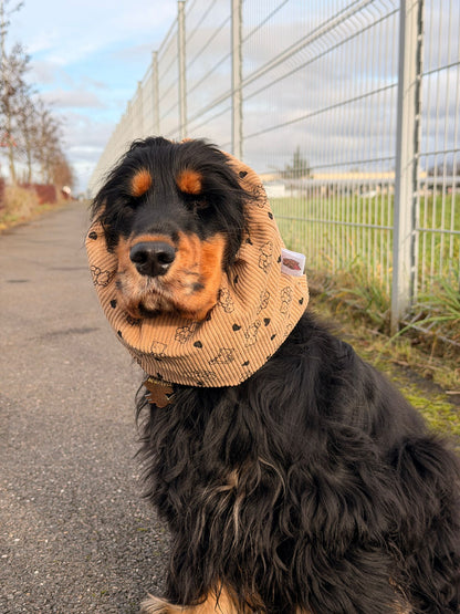 Snood en coton - Ours