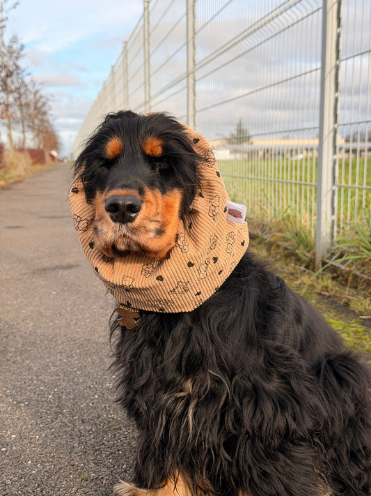 Snood en coton - Ours